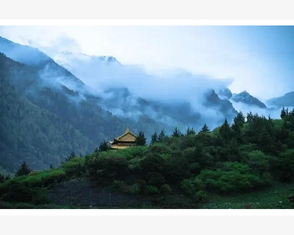 中医科普文章：探讨通过饮食清肺化痰的最佳水果选择