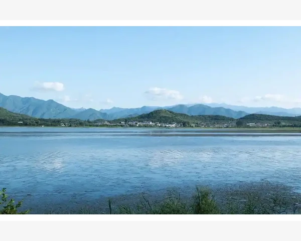 吃了榴莲上火怎么办？这些食物可以缓解！