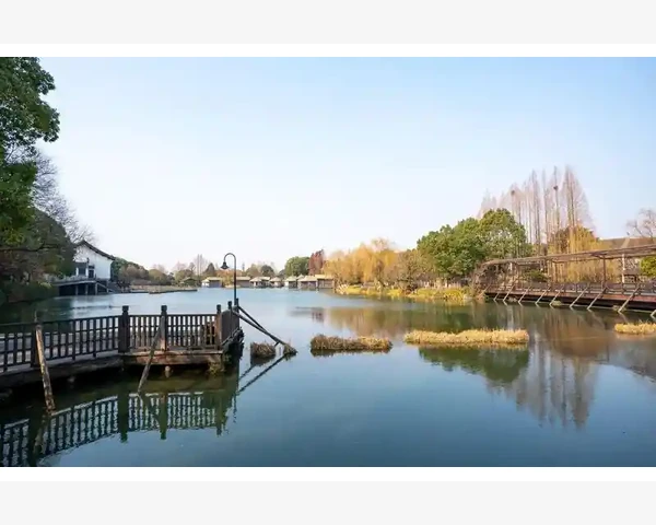 补钙达标不再难，这些食物和水果助你轻松实现
