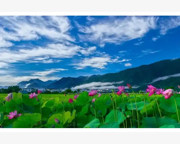 疏通腧穴：治疗脾胃疾病的关键